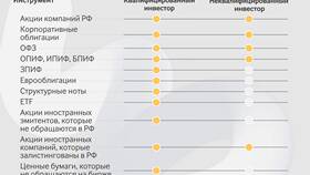Что дают акции инвестору в Mirra