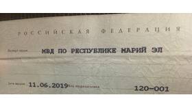 Что означает код подразделения в паспорте РФ в Mirra