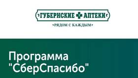 Что такое бонусы СберСпасибо от Сбербанка в Mirra
