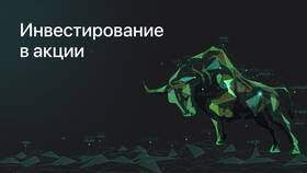 Что такое пакет акций компании? в Mirra