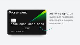 Что значит реквизиты карты в Mirra