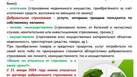 Добровольное пенсионное страхование: просто о сложном в Mirra