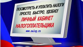ФНС России: налог на что в Mirra