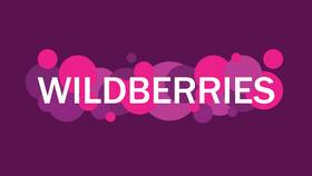 История появления Wildberries в России в Mirra