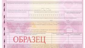 Как оформить полис ОСАГО онлайн самостоятельно в Mirra