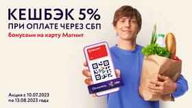 Как оплатить покупки в Магните через СБП в Mirra