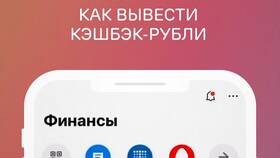 Как перевести кэшбэк в рубли в Mirra