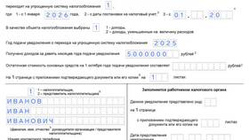 Как перевести ООО с НДС на УСН в Mirra