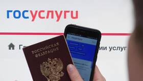 Как получить электронный ИНН через Госуслуги в Mirra