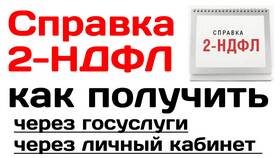 Как получить справку 2-НДФЛ через Госуслуги в Mirra
