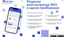 Как пользоваться Госуслугами с телефона в Mirra