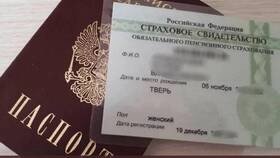 Как поменять фамилию в СНИЛС онлайн в Mirra