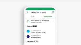 Как правильно попросить кредит в Mirra