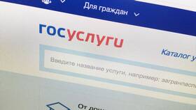Как произвести оплату через портал Госуслуги в Mirra