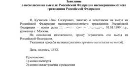 Как проверить запрет на выезд из РФ в Mirra