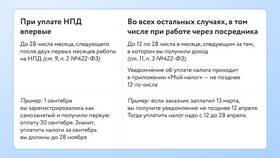 Как самозанятый выплачивает налог в Mirra