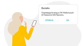 Как узнать ИНН компании Билайн в Mirra