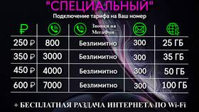 Как узнать корпоративный тариф Мегафон в Mirra