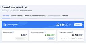 Как узнать по ИНН за что задолженность в Mirra