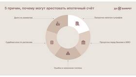 Как узнать задолженность по аресту в Mirra