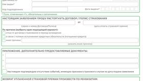 Как вернуть страховку: пошаговая инструкция в Mirra