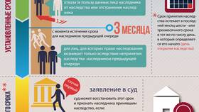 Как включить имущество в наследство в Mirra