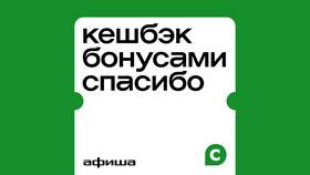 Как выбрать кэшбэк в СберБанке (СберСпасибо) в Mirra