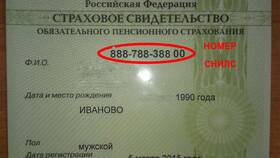 Как выглядит дубликат СНИЛС в Mirra