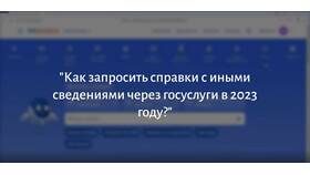 Как запросить справку через Госуслуги в Mirra