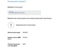 Проверка задолженностей через портал Госуслуги в Mirra