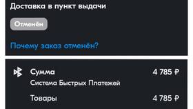 Система бесплатных платежей Сбербанка в Mirra