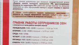 Сроки оформления паспорта через Госуслуги в Mirra