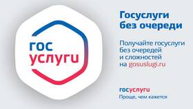 Сроки подтверждения почты на портале Госуслуги в Mirra
