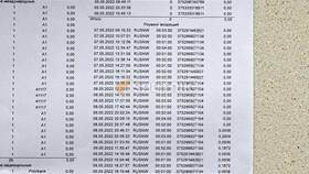 Стоимость звонков МТС в роуминге в Mirra