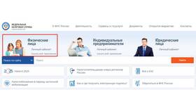 Выявлены нарушения в декларации 3-НДФЛ: что делать в Mirra