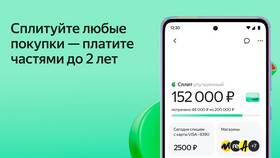 Зачем Яндекс.Маркет запрашивает доступ к Госуслугам для сервиса Сплит в Mirra