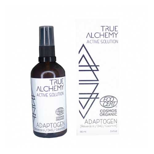 Концентрированный раствор Active Solution Adaptogen True Alchemy 100 мл в Mirra