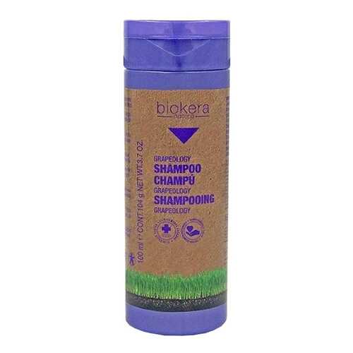 Шампунь с виноградной косточкой Salerm Champu Grapeology 100 мл в Mirra